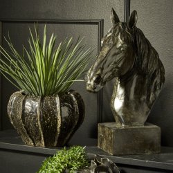 Stort Hestehoved (Speedtsberg) 