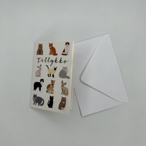 Tillykke med Katte - Kort med Kuvert