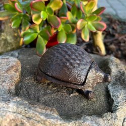 Jern Pindsvin Ngleskjuler