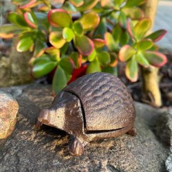 Jern Pindsvin Ngleskjuler