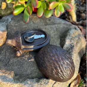 Jern Skildpadde Ngleskjuler