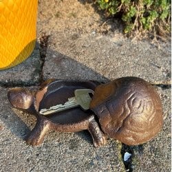 Jern Skildpadde Ngleskjuler