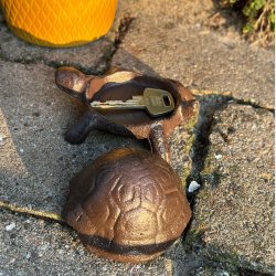 Jern Skildpadde Ngleskjuler