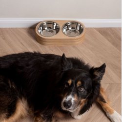 500 ml Madskl Hund Kat