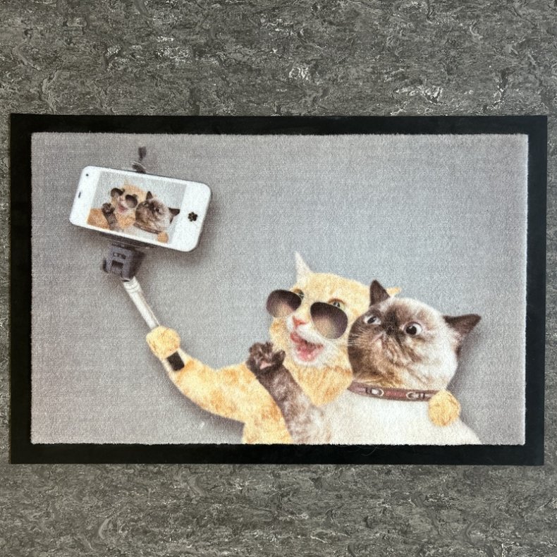 Katte Selfie Smuds mtte