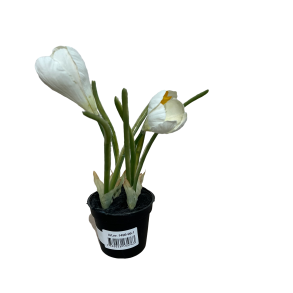 Hvid Krokus Kunstig Mini Plante