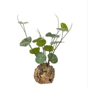 Stephania p� knold - Plante Kunstig Blomst 