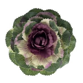 Pyntek�l Lilla - Plante Kunstig Blomst 