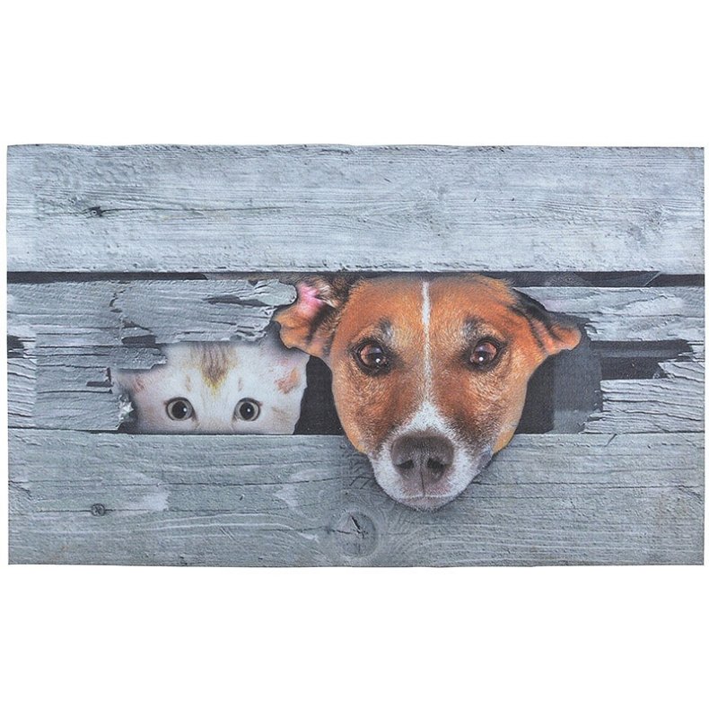 Hund og Kat drmtte (Mtte)