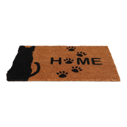 Kokosmtte med Kat (Mtte)