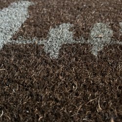 Brun Kokosmtte Fugle (Mtte)