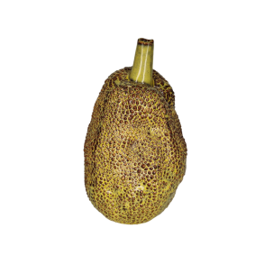 Stor Kalabas Vase (Birch Nielsen)