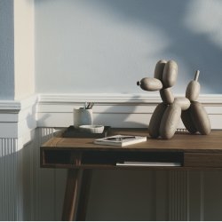 XL Tr Ballon Hund (BoyHood)